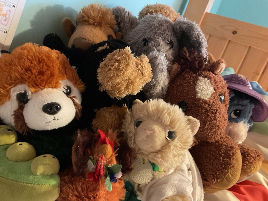 Ranking My Stuffed Animals